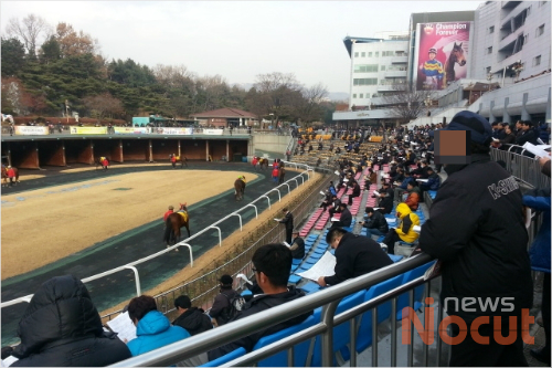 지난 7일 경기도 과천 셔울경마공원 경마장에서 경마 참가자들이 말들의 상태를 확인하고 있다.(사진=김민재 기자)